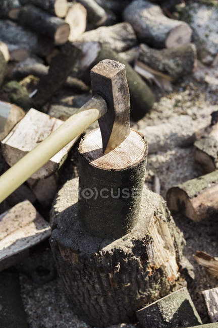 Ascia incastrata nel tronco — Foto stock