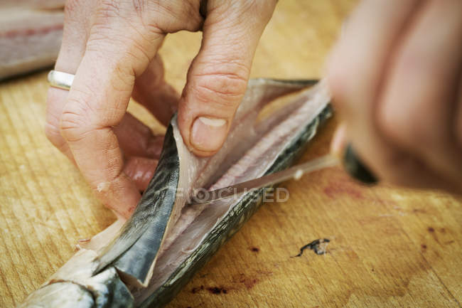 Chef filleting a fresh Mackerel. — Stock Photo