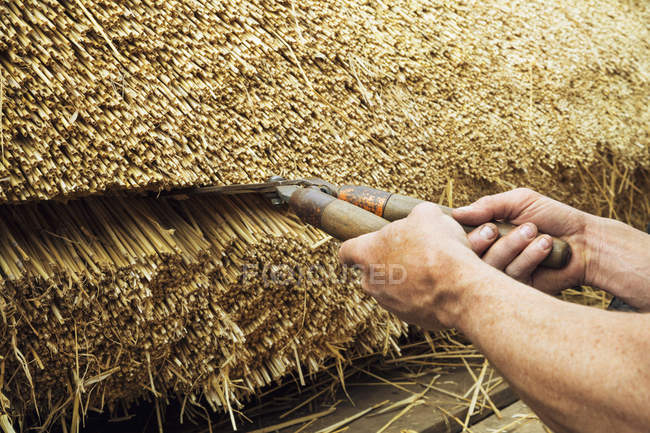 Thatcher trimming straw — Stock Photo