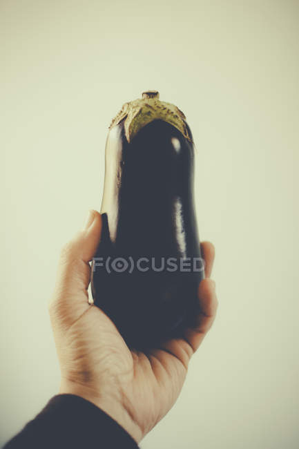 Hand holding organic eggplant — Stock Photo