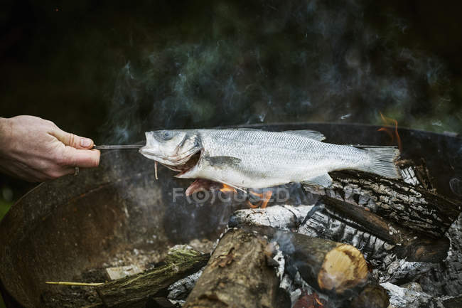 Chef asar pescado en la barbacoa - foto de stock