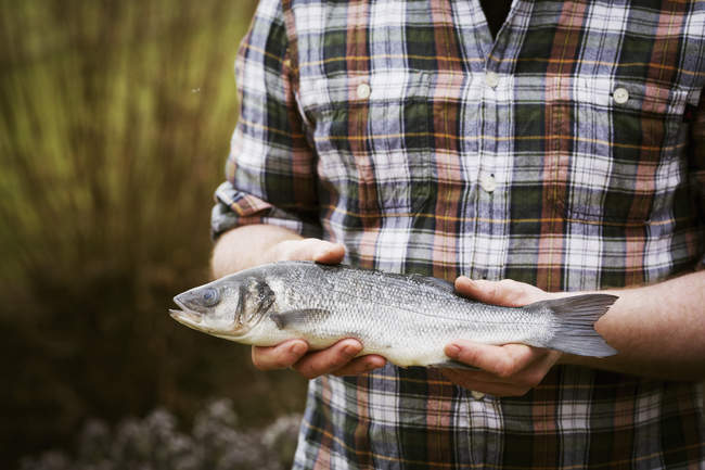 Koch hält frischen Fisch in der Hand — Stockfoto