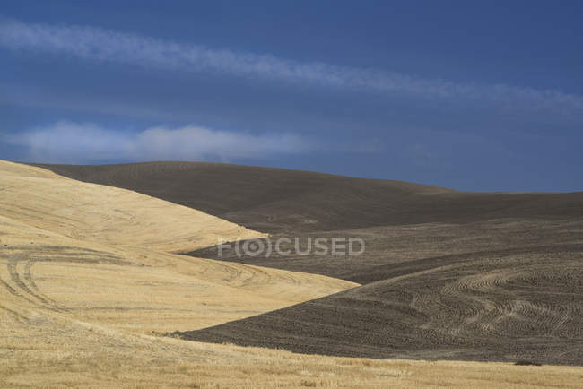 Contours of farmed land in Palouse county — Stock Photo