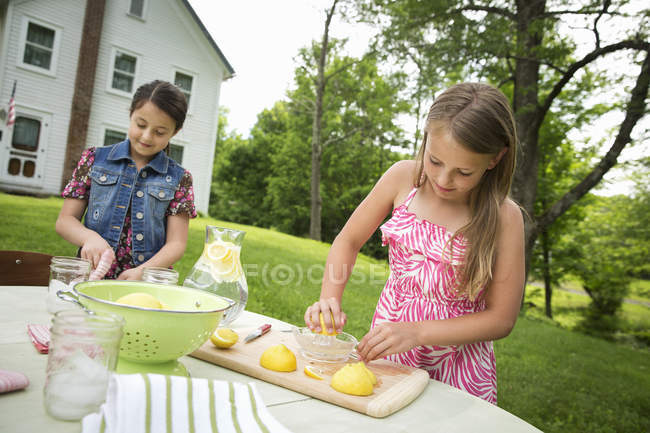 Children making lemonade. — Stock Photo