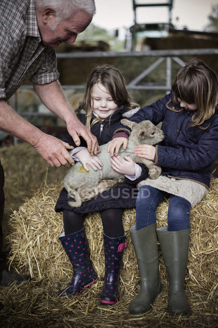 Agricultor y niñas con cordero recién nacido - foto de stock