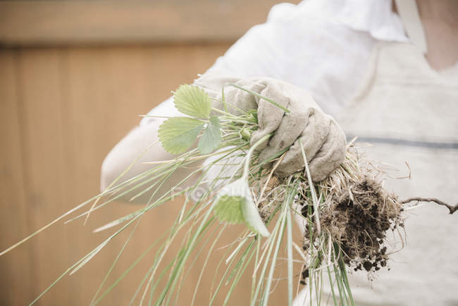 Woman holding a bunch of weeds. — Stock Photo