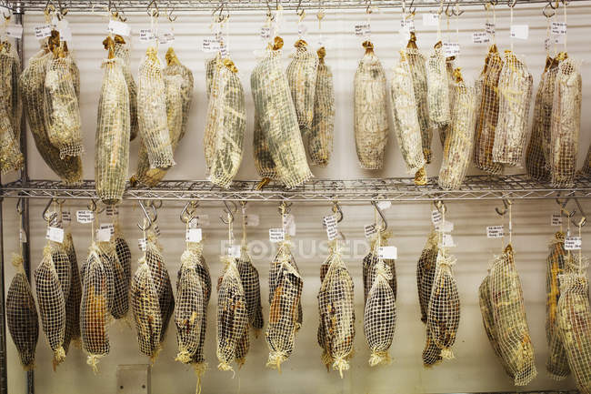 Venison and Coppa in nets hanging from hooks — Stock Photo