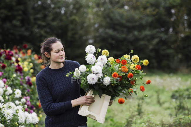 Женщина, работающая в органическом цветочном питомнике — стоковое фото