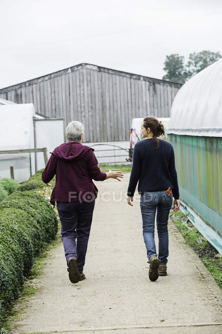 Pessoas em viveiro de plantas orgânicas . — Fotografia de Stock