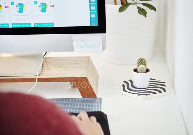 Computer screen and cactus plant. — Stock Photo