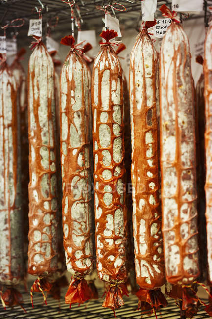 Chorizo-Würstchen hängen an Haken — Stockfoto