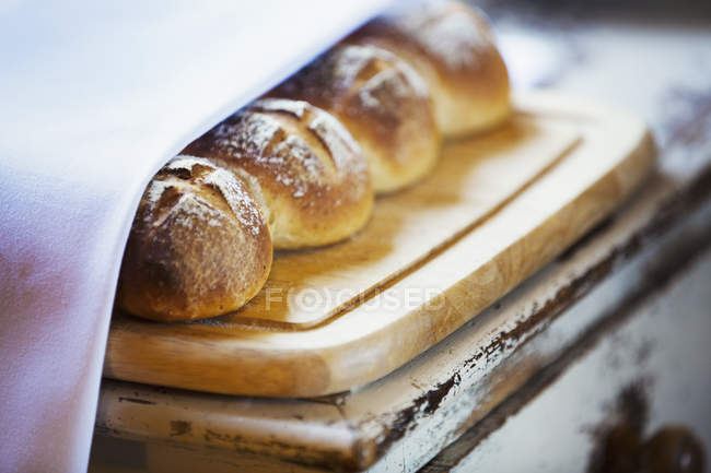 Fresh baked batch bread rolls — Stock Photo
