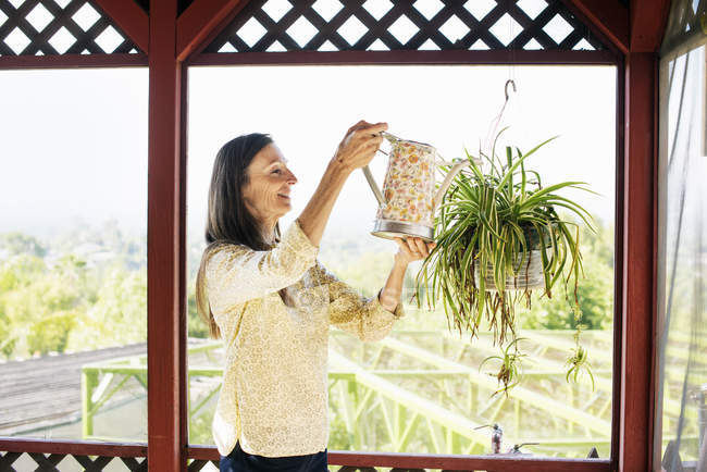 Seniorin gießt eine Pflanze. — Stockfoto