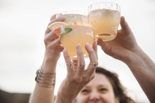 Women toasting each other. — Stock Photo