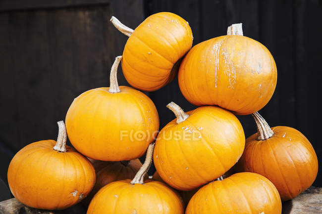 Heap of small gourds or pumpkins — Stock Photo