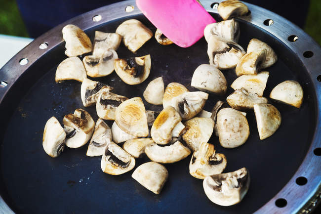 Champignons frits sur la cuisinière de camping — Photo de stock
