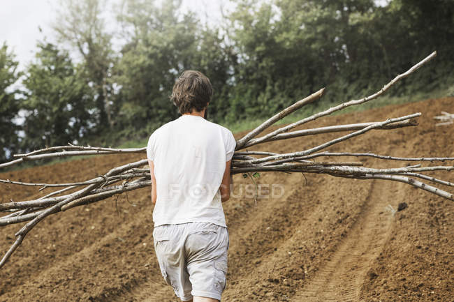 Homem carregando feixes de palitos de ervilha — Fotografia de Stock