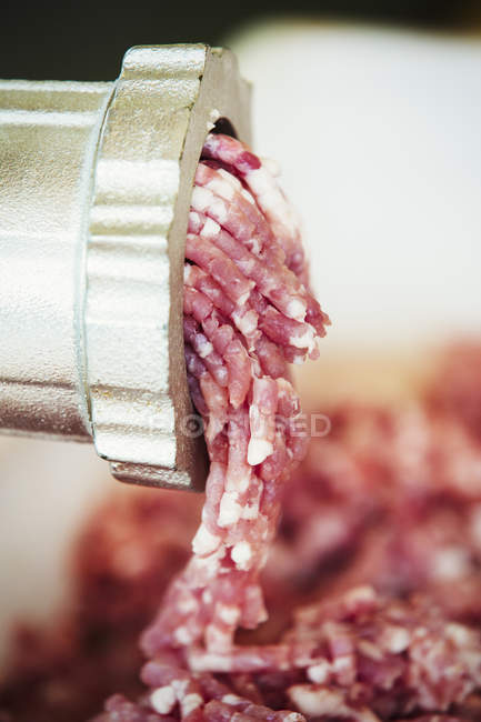 Freshly ground meat coming out — Stock Photo