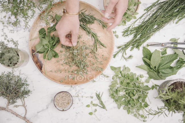 Donna che prepara erbe e piante — Foto stock