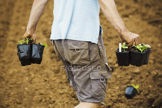 Hombre caminando llevando macetas de plantas - foto de stock