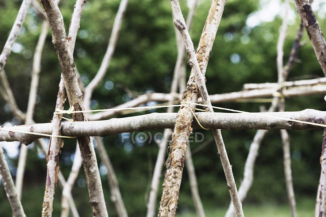 Sticks arranged in a framework — Stock Photo
