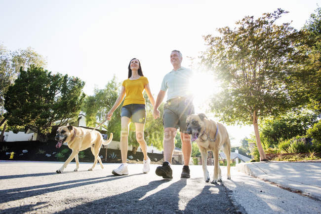 Senior pareja paseando sus perros - foto de stock