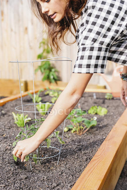 Mujer plantando plántulas - foto de stock