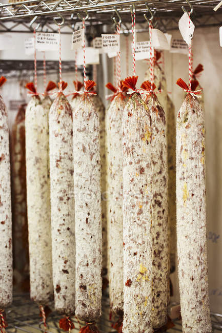 Port and Garlic Salamis hanging from hooks — Stock Photo