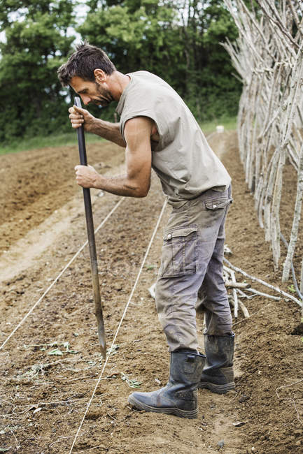 Hombre haciendo agujeros de plantación en el suelo . - foto de stock