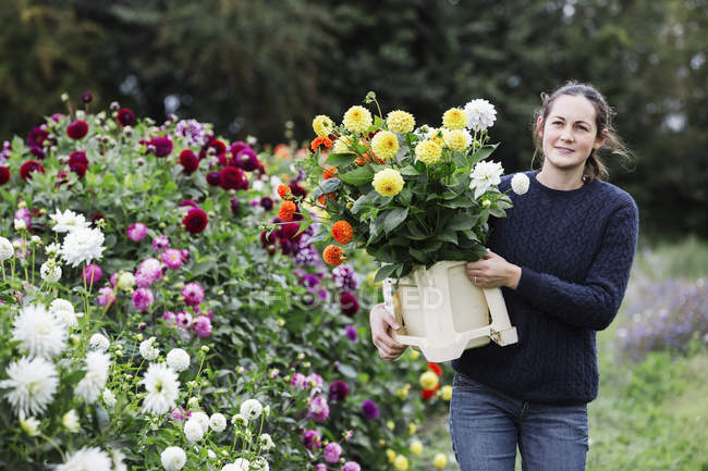 Mulher trabalhando em viveiro de flores orgânicas — Fotografia de Stock