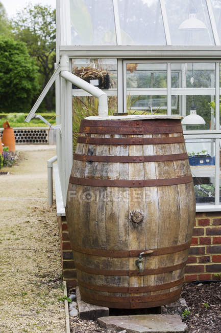 Barrel for collecting rain water — Stock Photo
