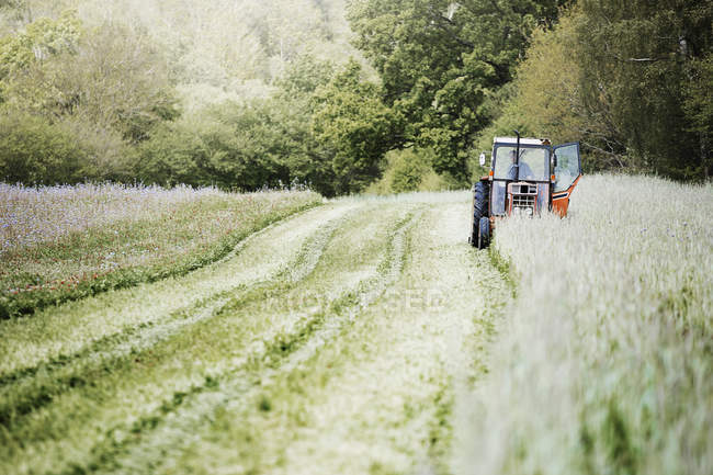 Traktor schneidet Schneise auf einem Feld. — Stockfoto