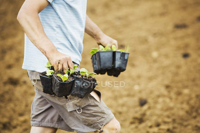 Uomo campo portando vasi di piante — Foto stock