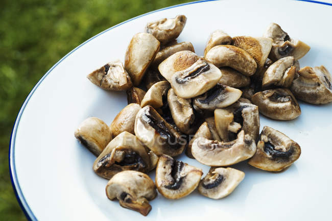 Plate of fried mushrooms — Stock Photo