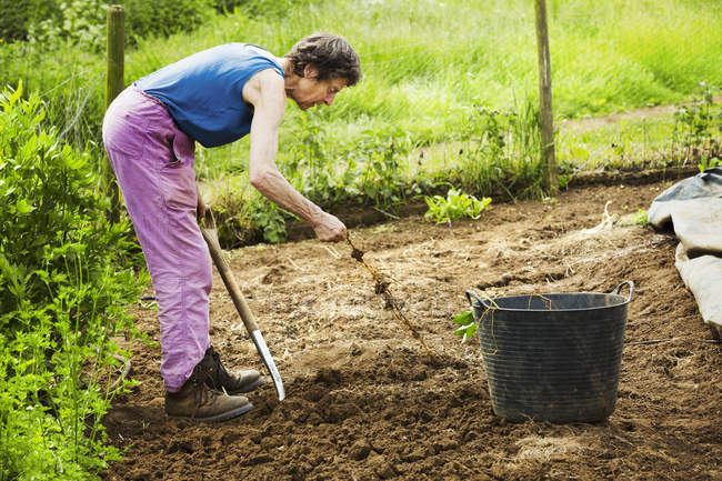 Woman using pitchfork in field — Stock Photo