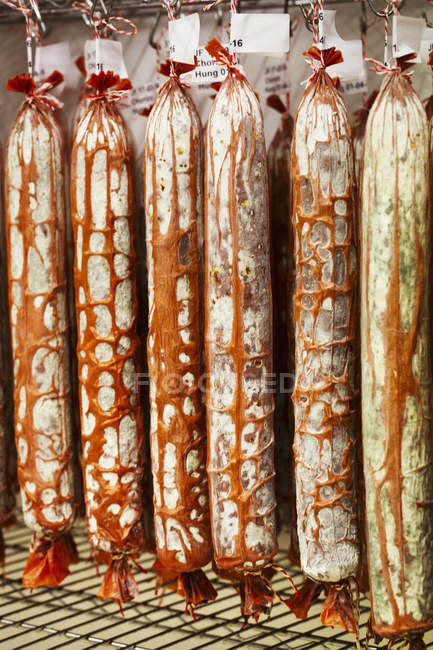 Salsichas Chorizo penduradas — Fotografia de Stock