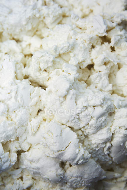 Fresh goats cheeses in creamery — Stock Photo