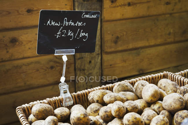 Neue Bio-Kartoffeln — Stockfoto