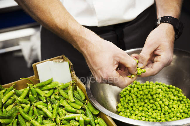 Koch schält frische grüne Erbsen — Stockfoto