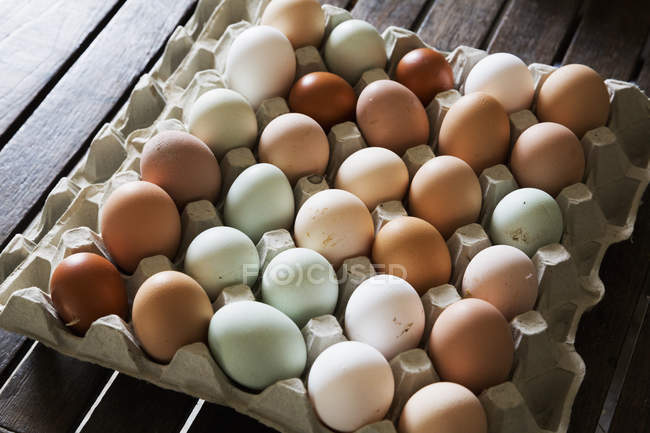 Bandeja de huevos ecológicos frescos - foto de stock