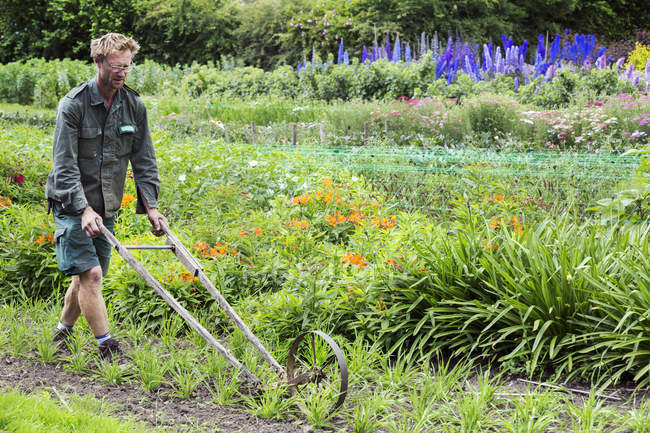 Людина використовує колісну мотузку в саду — стокове фото