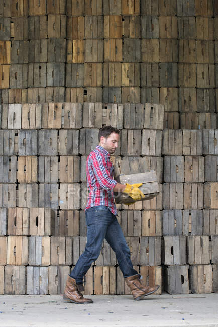 Man carrying an empty crate. — Stock Photo