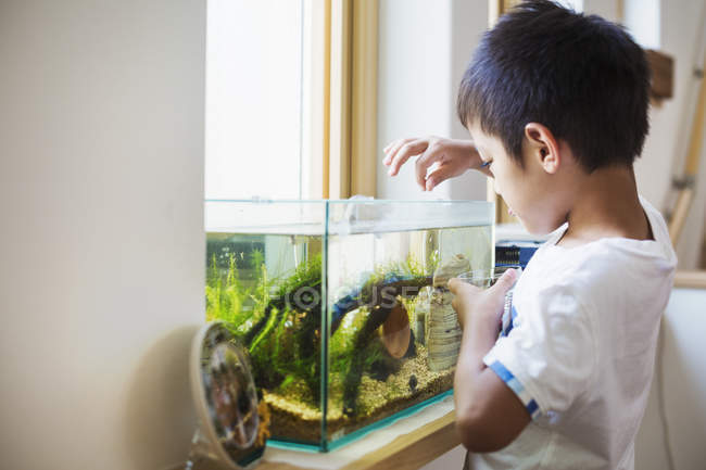 Junge füttert die Fische — Stockfoto