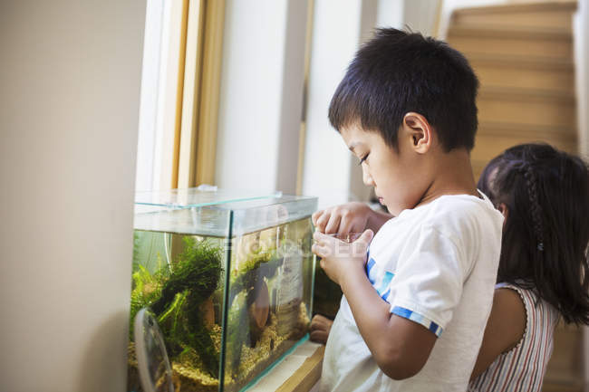 Junge füttert die Fische — Stockfoto