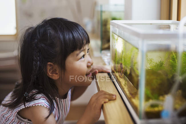 Девушка смотрит на рыбу в аквариуме — стоковое фото