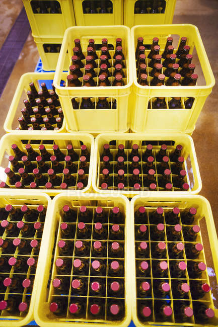 Yellow plastic crates of beer — Stock Photo