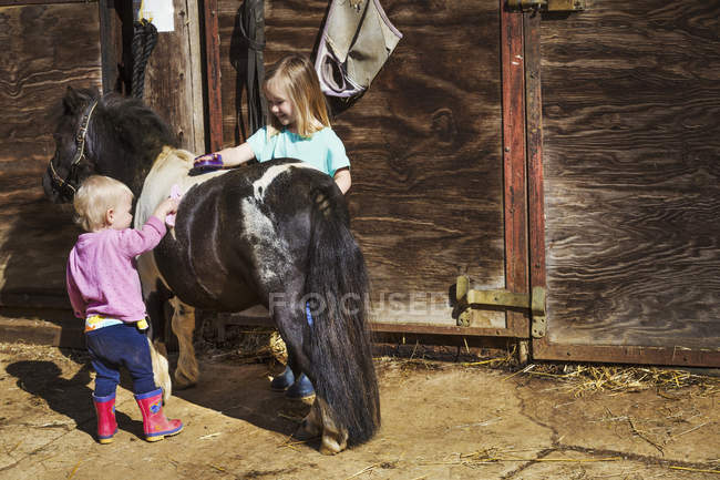 Girl and a toddler grooming pony — Stock Photo