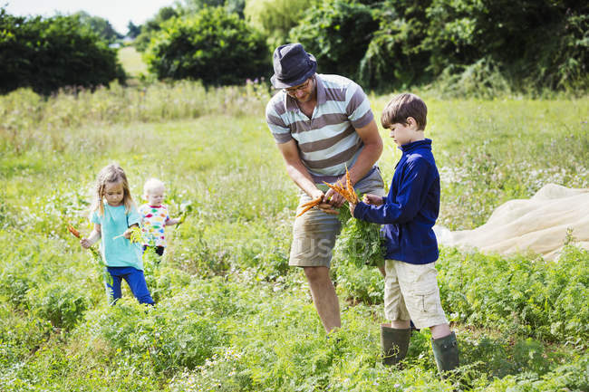 Hombre y tres niños sosteniendo zanahorias - foto de stock