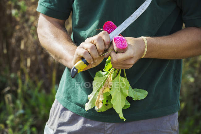 Homem usando uma faca afiada — Fotografia de Stock