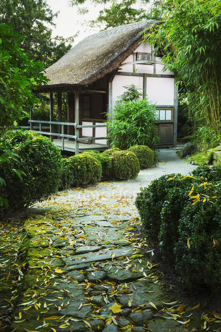 Thatched building in garden — Stock Photo